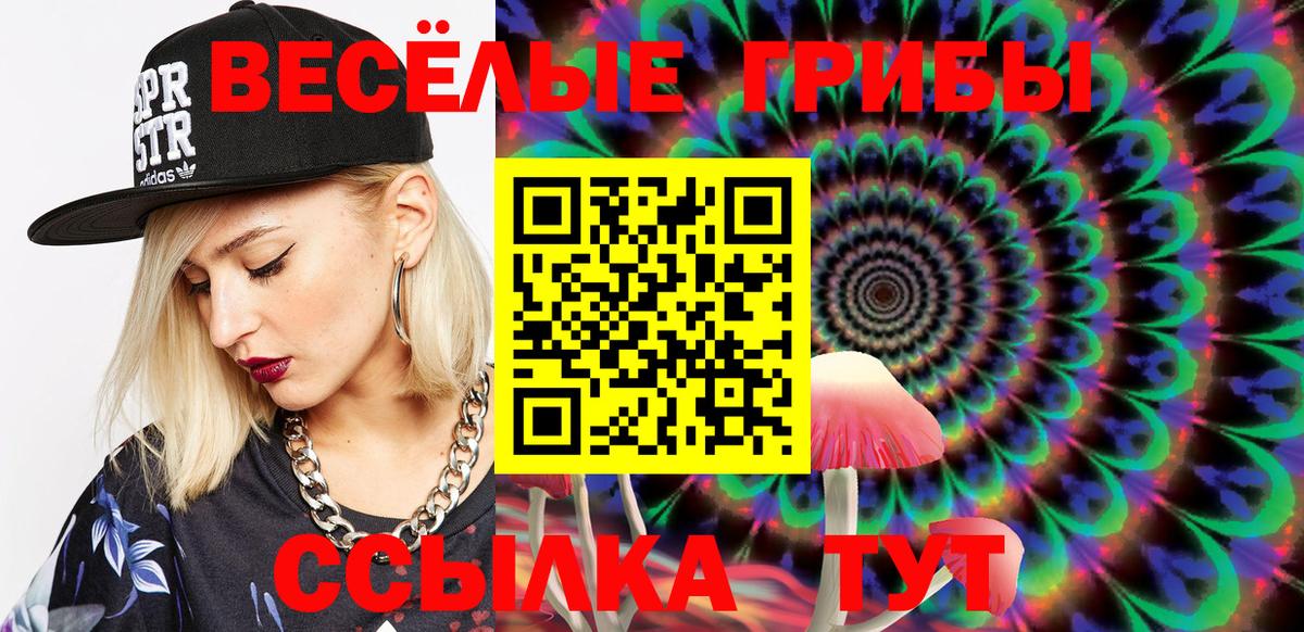 Галлюциногенные грибы Psilocybe  Вход с VPN  Советск  Псилоцибиновые грибы GOLDEN TEACHER 