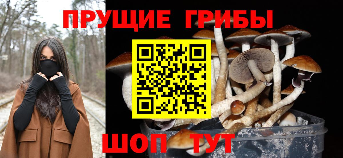 Галлюциногенные грибы Cubensis Советск