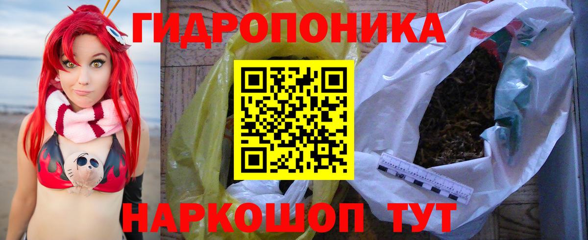 Каннабис индика Советск